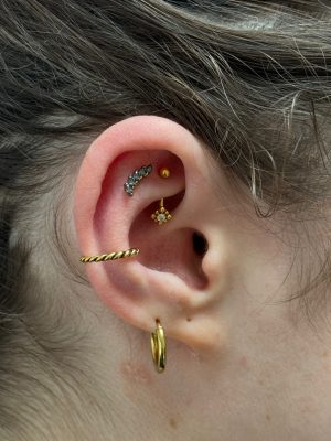 Flat Rook  & Inner Conch Piercing 
